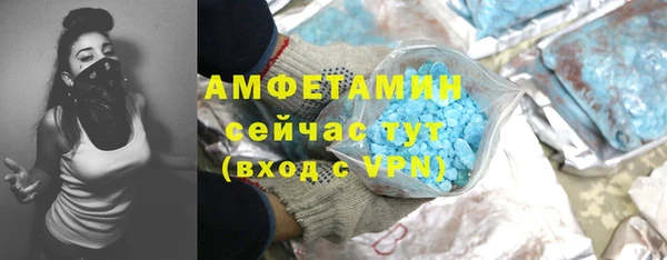 гидра Михайловск