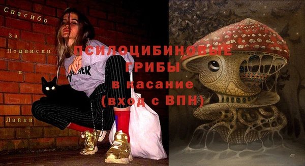 гидра Михайловск
