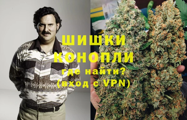 гидра Михайловск