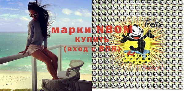 индика Магас
