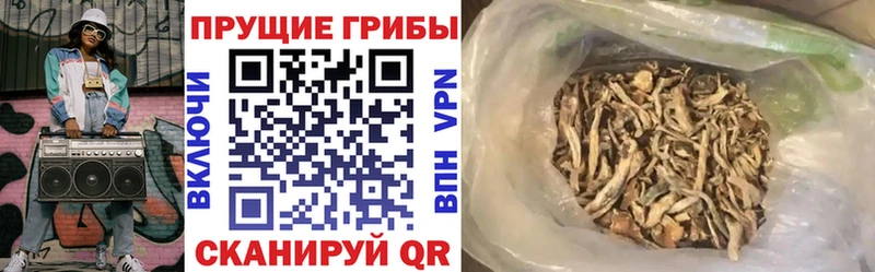 Галлюциногенные грибы прущие грибы  цена   кракен зеркало  Алушта 