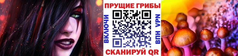 Псилоцибиновые грибы GOLDEN TEACHER Алушта