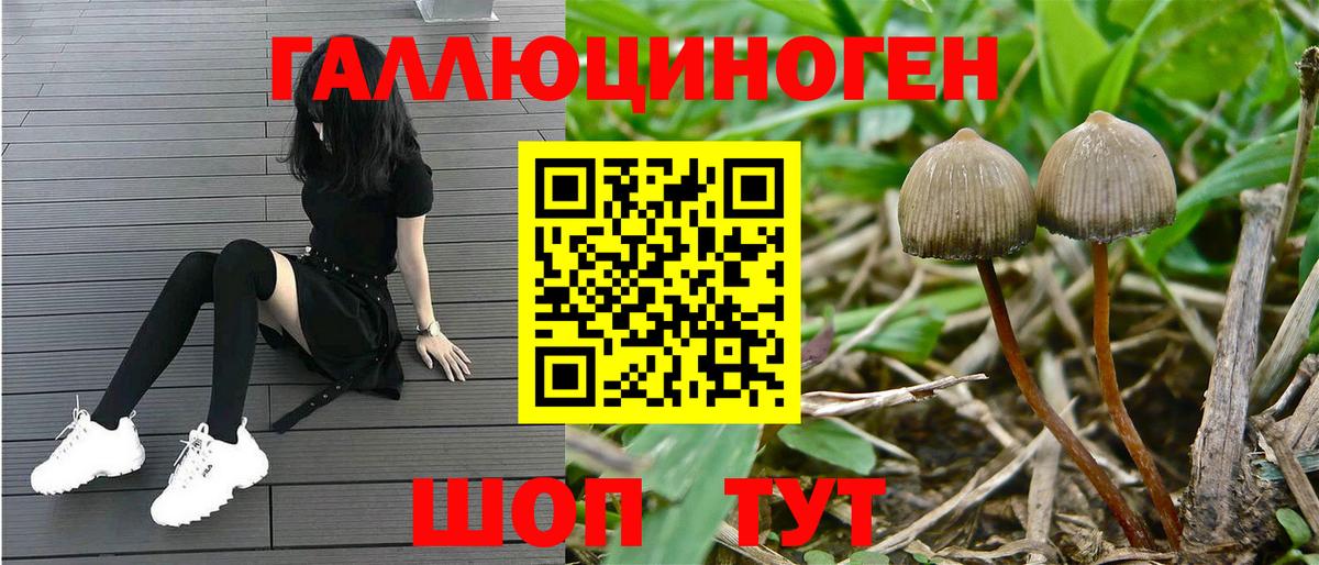 Псилоцибиновые грибы GOLDEN TEACHER  Вход с VPN  Псилоцибиновые грибы Psilocybe  Алушта 